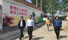 沂南新闻爆料最新消息,重大事件引发社会关注