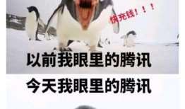 各大平台吃瓜视频大全免费观看,免费观看，一网打尽！